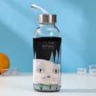 Бутылка для воды стеклянная в чехле «Хитрый котик», 300 мл, h=17 см, рисунок МИКС - фото 8406497