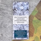 Набор подарочный «Танк. 23 февраля», блокнот 16 листов и ручка пластик - Фото 4