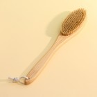 Щётка для сухого массажа, с ручкой, натуральная щетина - Фото 4