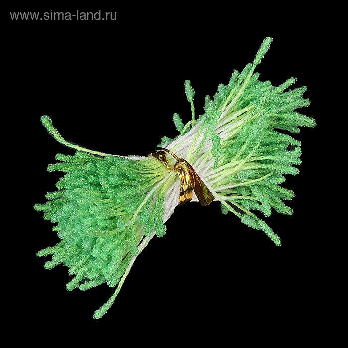 Тычинки для искусственных цветов "Пушистые зелёные" длина 6 см (набор 170 шт) - Фото 1