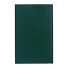 Ежедневник недатированный А5, 128 листов, обложка бумвинил, зелёный - Фото 5