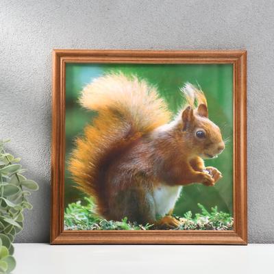 Фоторамка 20х20 см (3N88) орех (пластиковый экран)