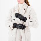 Перчатки женские безразмерные, комбинированные, с утеплителем, для сенсорных экранов, цвет чёрный - Фото 2