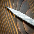 Шампур узбекский с ручкой-кольцом, рабочая длина - 50 см, ширина - 20 мм, толщина - 3 мм - Фото 5