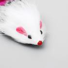 Мышь из натурального меха с хвостом из перьев, 6,5 см, микс цветов - фото 8407547