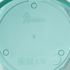 Горшок для цветов с поддоном Доляна «Эрика», 0,7 л, цвет бирюзовый - Фото 7