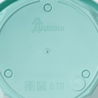 Горшок для цветов с поддоном Доляна «Эрика», 0,7 л, цвет бирюзовый - Фото 9