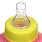 Бутылочка для кормления «Маленькая леди», классическое горло, приталенная, с ручками, 150 мл., от 0 мес., цвет розовый - Фото 4