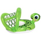 Круг для плавания «Черепаха», с сиденьем и тентом , 74 х 66 см, от 1-2 лет, 34094 Bestway - Фото 3