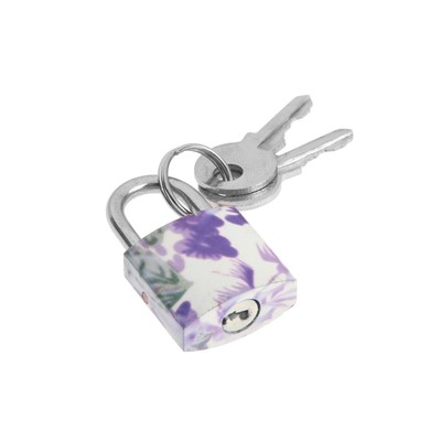 Замок навесной, 20×35 мм, МИКС