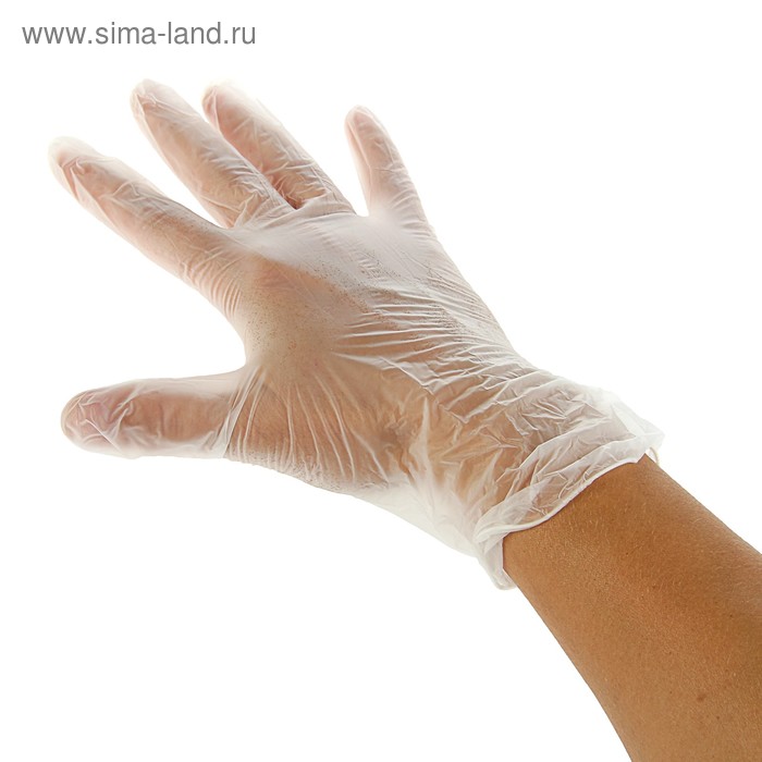 Виниловые перчатки EcoLat XL, 50 пар/100 шт - Фото 1
