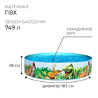 Бассейн «Динозавры», жёсткий борт, 183 х 38 см, от 2 лет, 55022 Bestway - Фото 2