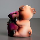 Копилка "Свинка с мешком" фиолетовая 18 см - Фото 6