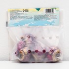 Гиацинт восточный Блю Стар, р-р 14/15, 4 шт, Весна 2025 - Фото 2