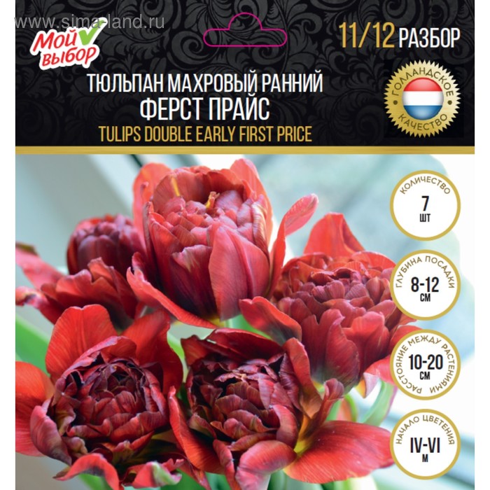 Тюльпан "Эстатик" 45см, р/р 11/12, 50 шт. (7146968) - Купить по цене от 1 787.00