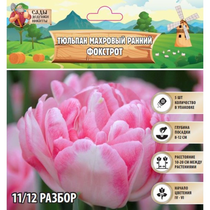 Тюльпан махровый ранний Фокстрот, р-р 11/12, 5 шт, Весна 2025 - Фото 1