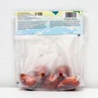 Тюльпан махровый ранний Фокстрот, р-р 11/12, 5 шт, Весна 2025 - Фото 2