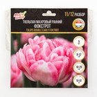 Тюльпан махровый ранний Фокстрот, р-р 11/12, 5 шт, Весна 2025 - Фото 4