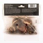 Тюльпан махровый ранний Фокстрот, р-р 11/12, 5 шт, Весна 2025 - Фото 5