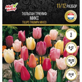 

Тюльпан триумф Микс, р-р 11/12, 5 шт
