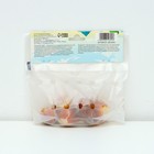 Тюльпан Дарвинов Банья Лука, луковица в пакете с перфорацией, р-р 11/12, 5 шт. - Фото 2