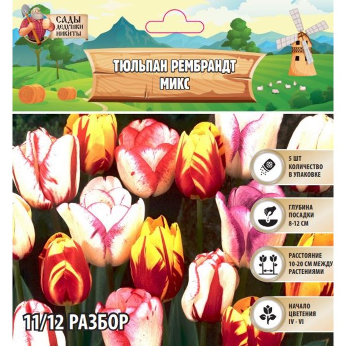 Тюльпан рембрандт Микс, луковица в пакете с перфорацией, р-р 11/12, 5 шт. - Фото 1