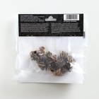 Ранункулюс (Лютик) Йеллоу, р-р 7/8, 7 шт, Весна 2025 - Фото 2