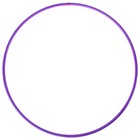 Обруч для художественной гимнастики Grace Dance, профессиональный, d=65 см, цвет фиолетовый - Фото 3