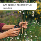 Ножницы садовые, 8" (20 см), с пластиковыми ручками, Greengo - Фото 10