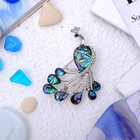 Брошь «Галиотис. Павлин», зелёная - Фото 1