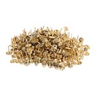 Гвозди ТУНДРА, декоративные, обивочные, 11×17 мм, античное золото, 500 шт. - Фото 4