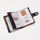 Обложка для автодокументов и паспорта, для купюр, карманы для карт, для монет, цвет коричневый - фото 8408452