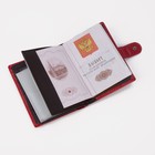 Обложка для автодокументов и паспорта, для купюр, карманы для карт, для монет, цвет красный - Фото 10