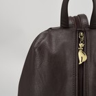 Рюкзак молодёжный, отдел на молнии, наружный карман, цвет коричневый - Фото 4
