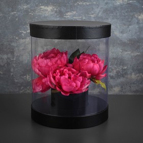 Коробка подарочная 22 х 22 х 26 см 3613984