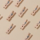 Прищепки для белья Доляна, деревянные, 2.5×0.7×0.3 см, 24 шт. - Фото 4