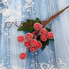 Декор "Зимние грезы" красные ягодки, 13 см - фото 3743187