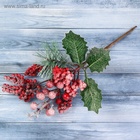 Еловая ветка декоративная «Зимнее волшебство. Грёзы», 24 см (комплект 2 шт) - фото 60080028