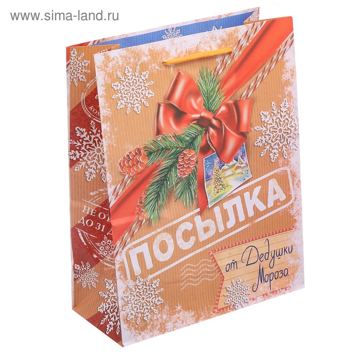 Пакет ламинированный вертикальный «Посылка от Дедушки Мороза», 23 × 27 × 8 см - Фото 1