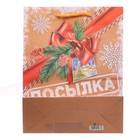 Пакет ламинированный вертикальный «Посылка от Дедушки Мороза», 23 × 27 × 8 см - Фото 3