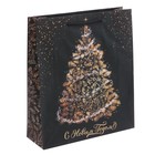 Пакет ламинированный вертикальный «Исполнения желаний», ML 23 × 27 × 8 см - Фото 1