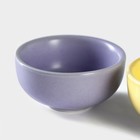 Набор для чайной церемонии «Утро», 5 предметов: 4 пиалы 50 мл, чайник 200 мл, керамика, разноцветный - Фото 2