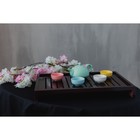 Набор для чайной церемонии «Утро», 5 предметов: 4 пиалы 50 мл, чайник 200 мл, керамика, разноцветный - Фото 11