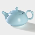 Набор для чайной церемонии «Утро», 5 предметов: 4 пиалы 50 мл, чайник 200 мл, керамика, разноцветный - Фото 5