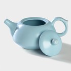 Набор для чайной церемонии «Утро», 5 предметов: 4 пиалы 50 мл, чайник 200 мл, керамика, разноцветный - Фото 6