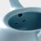 Набор для чайной церемонии «Утро», 5 предметов: 4 пиалы 50 мл, чайник 200 мл, керамика, разноцветный - Фото 8