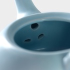 Набор для чайной церемонии «Утро», 5 предметов: 4 пиалы 50 мл, чайник 200 мл, керамика, разноцветный - Фото 9