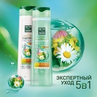 Мицеллярный шампунь для волос Чистая линия «Экспертный уход 5 в 1», 400 мл - Фото 1