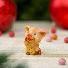 Сувенир полистоун "Поросёночек-малыш с долларами" МИКС 3х3х2 см - Фото 2