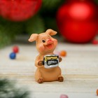 Сувенир полистоун "Весёлая свинка с денежками" МИКС 4,5х3х2,5 см - Фото 2